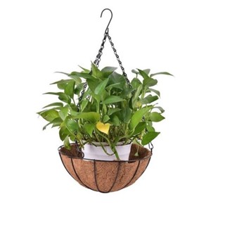 Vaso Pendurar Com Pendente De Ferro Decoração Fibra Coco 25cm Vaso Para Colocar Plantinhas em Oferta na Shopee