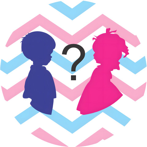 NOVO Painel Festa Infantil Redondo Chá Revelação, Silhueta de Bebês Rosa e Azul, Fundo Geométricos + Arco, Suporte incluso. Fazemos personalizado com qualquer tema. Confeccionado em Lona fosca, impressão de alta resolução. cenário , p/ Decoração