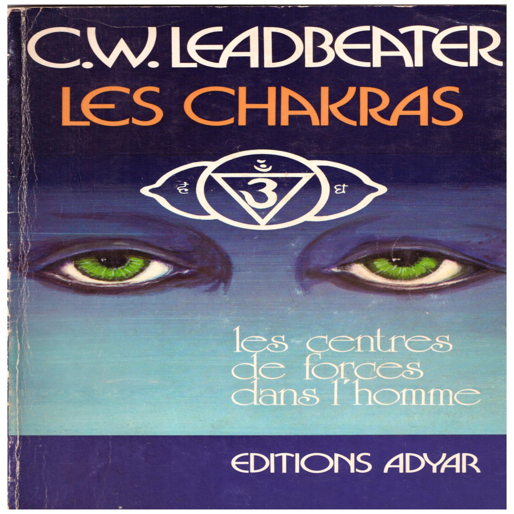 W Less: Guia Completo e Onde Comprar | BuscaProdutos