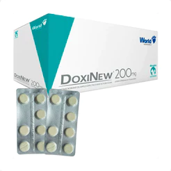 DoxiNew 200 mg World para Cães e Gatos acima - 2 Blíster