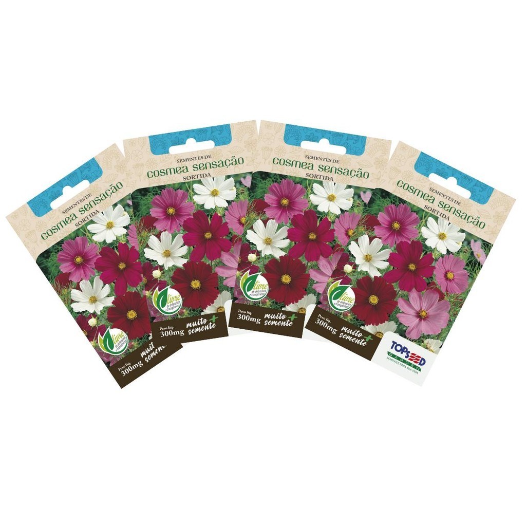 4X Sementes de Cosmea Sensação (Sortida) TOPSEED