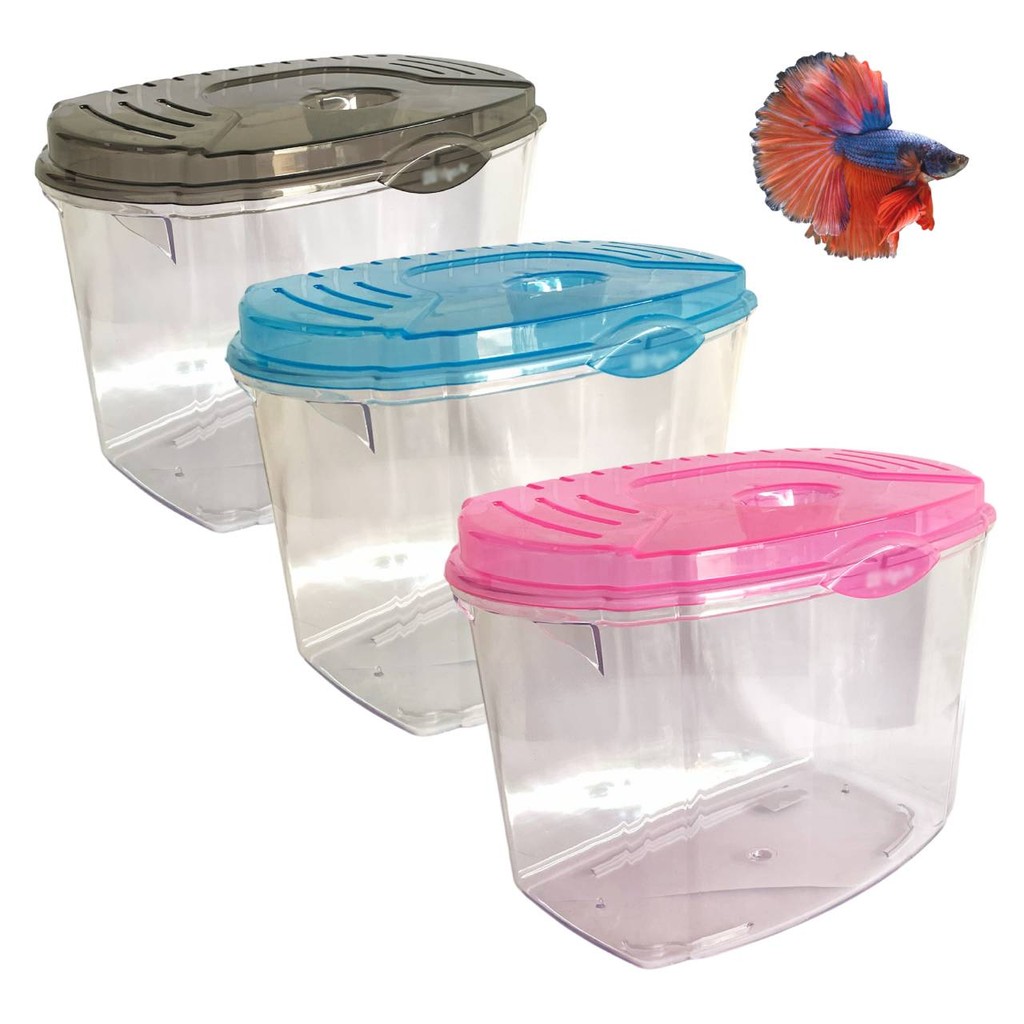 Beteira Aquário Plástico para Betta 4,2L Pequeno em Oferta na Shopee