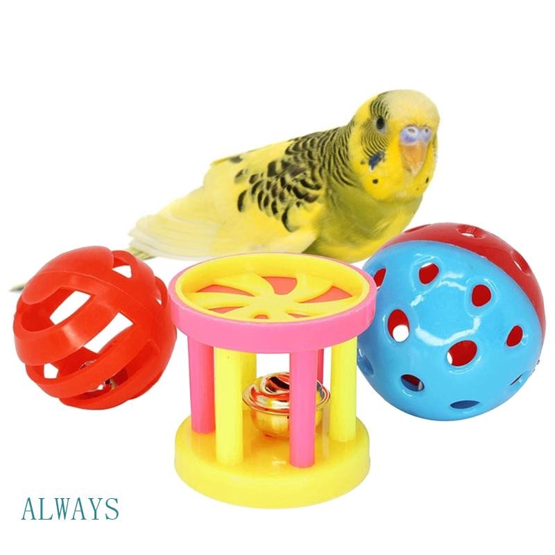 ALW 3 Pçs Conjunto Versátil Papagaio Brinquedos Treinamento Gaiola Pássaro Para Calopsita