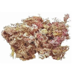 Musgo Sphagnum Sfagnum Esfagno Rosa Para Orquídeas Decoração Artesanato 2 a 12 Litros