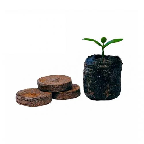 Célula De Germinação e Clonagem Jiffy Cultivo Jardinagem 25x35mm 10UN em Oferta na Shopee