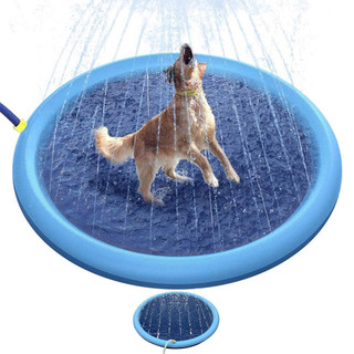 Piscina Tapete Chafariz Inflavel Pet Cachorro Animais Criança Brincadeira Divertida Verao Sol Veraneio Dias Quentes