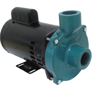 Motobomba Standard 2cv 60Hz 127/220V ECS-SA200M Eletroplas em Oferta na Shopee