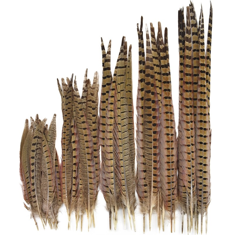 10 Pçs/Lote Prime Natural Ringneck Penas De Faisão Para Artesanato 10-75cm Plumas Grandes Vasos De Galo Chapéus Festa De