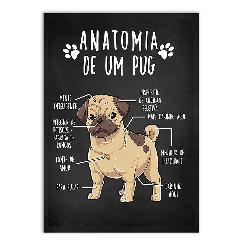 Placa Decorativa Engraçada Cachorro Anatomia Raça Pug V2