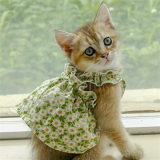 Verão Algodão Sphynx Gato Suspender Saia Amor Flor Pet Vestidos De Princesa Para Gatos Cão Vestido Roupas em Oferta na Shopee