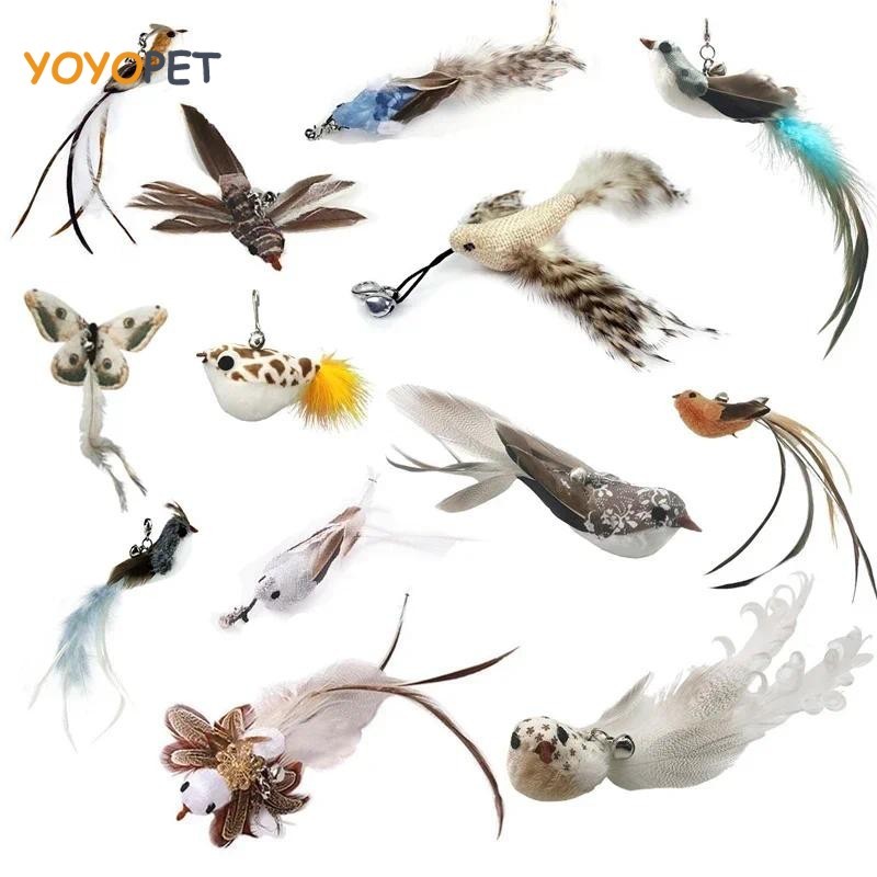 O que é Exercícios Pr? Guia e Onde Comprar | BuscaProdutos