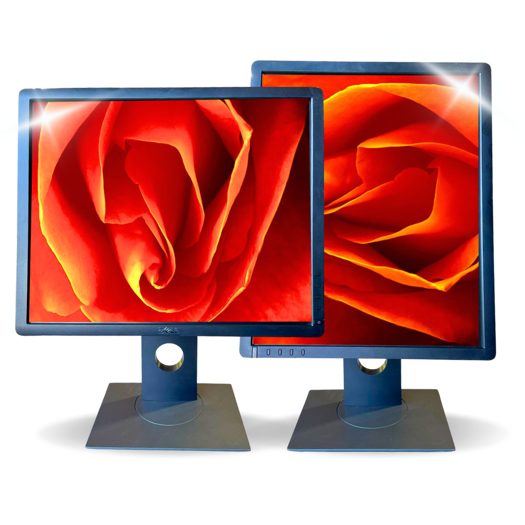 Monitor Dell 19 Polegadas Led Vga Dvi Tela Giratória Vetical Quadrado P1913sb 3 USB DisplayPort VGA
