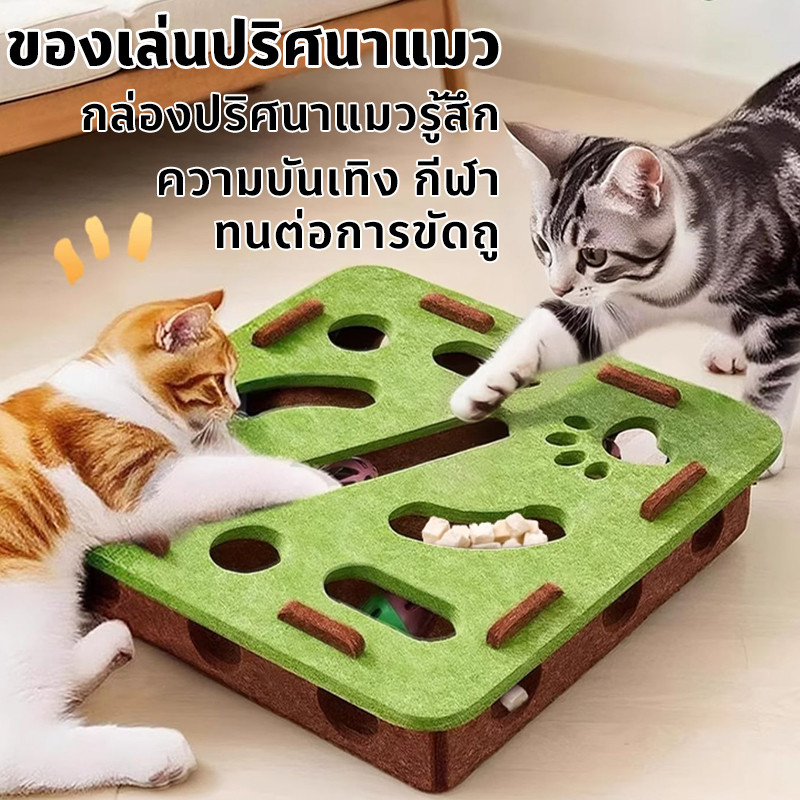 SKISOPGO ของเล่นแมว ของเล่นปริศนาแมว กล่องปริศนาแมวรู้สึก มีหลายสไตล์ - ภาพที่ 4