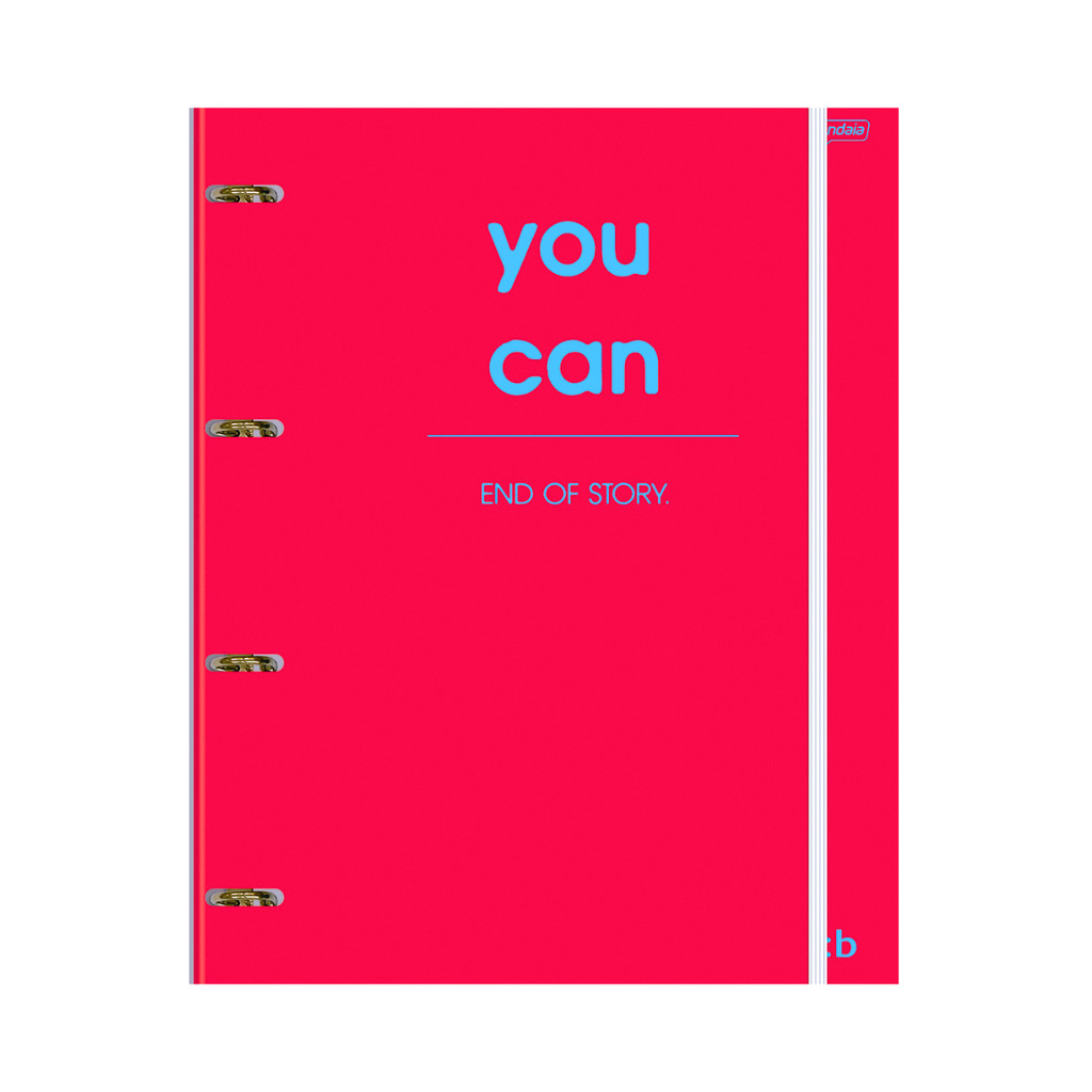 Caderno Argolado Cartonado Universitário Bright 80 Folhas ROSA - JANDAIA em Oferta na Shopee