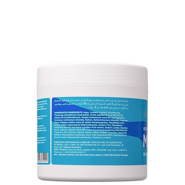 Detalhes do Lowell Extrato de Mirtilo Mascara 450g