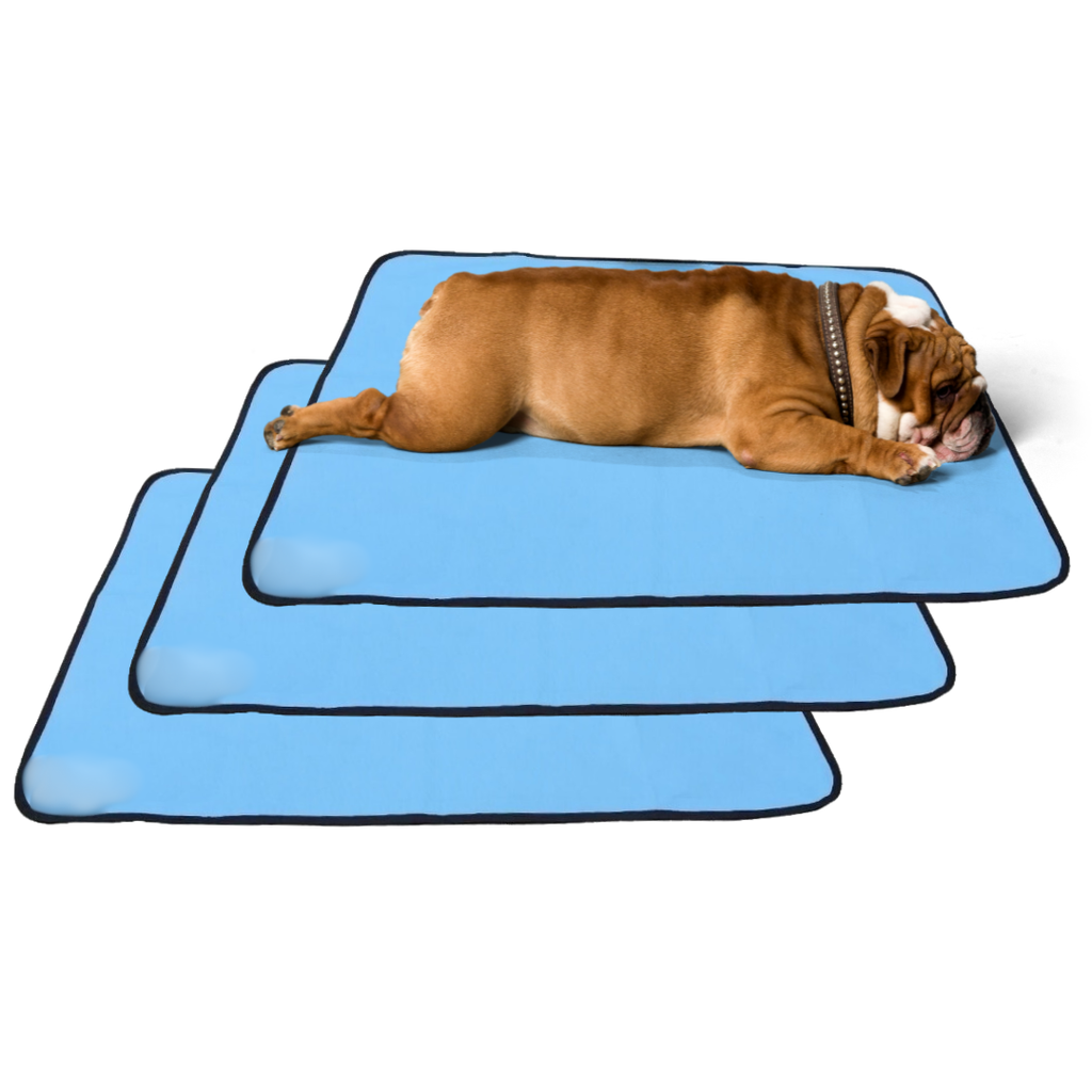 3 Caminhas para Cães e Gatos Dobrável 200 Lavagens 100x70 Azul Antipulgas Quality