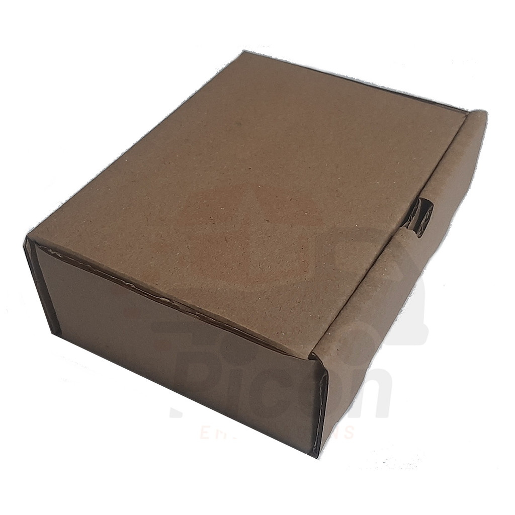 Caixa de Papelão Correio Sedex PAC 22x12,5x6,5 cm - Kit 100 unidades (Medida Interna)