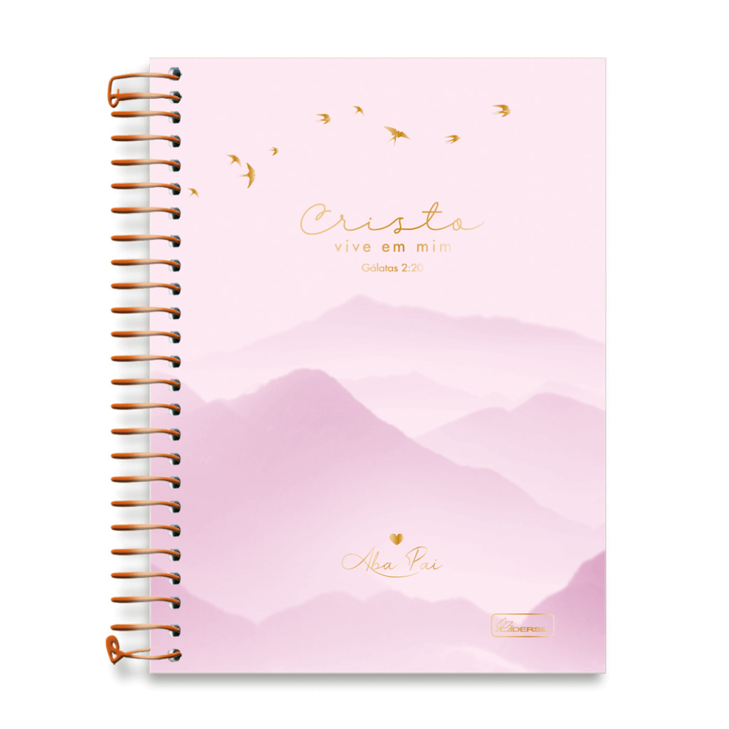 Caderno 01 Matéria Colegial Aba Pai 80 Folhas - CADERSIL CAPAS:ROSA em Oferta na Shopee