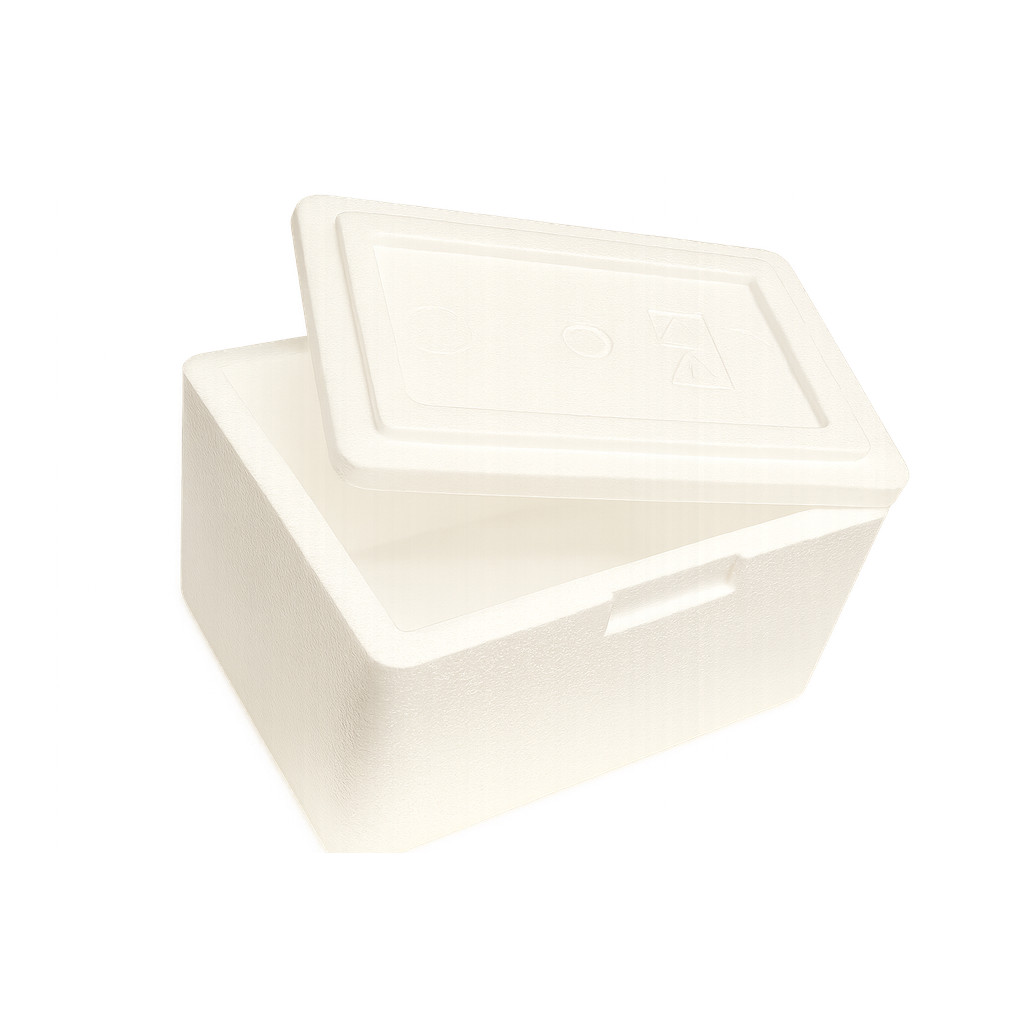 Kit 2 Caixa de Isopor Pereciveis Alimentos 5 Litros — imagem 2 de 2