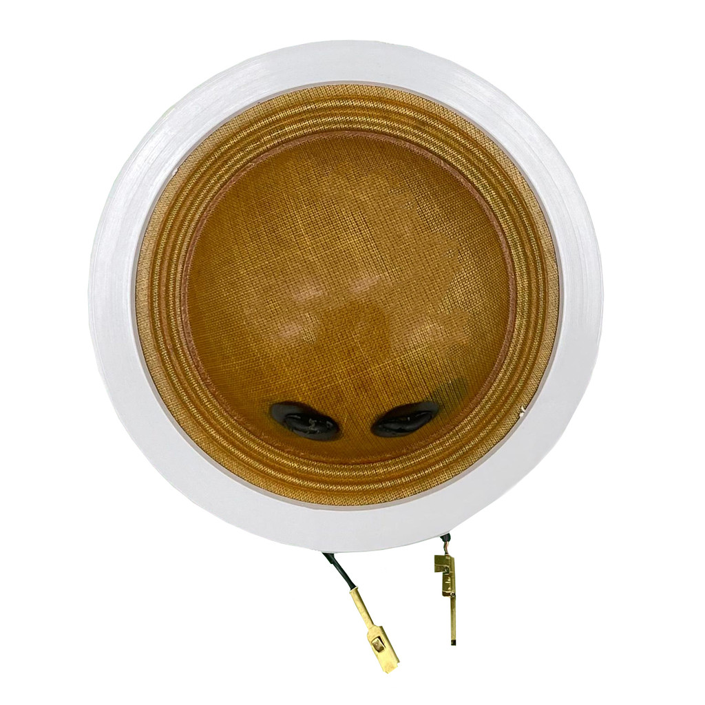 Reparo Compatível JBL Selenium Roadstar Driver D 250 8 Ohms 100w Force One em Oferta na Shopee