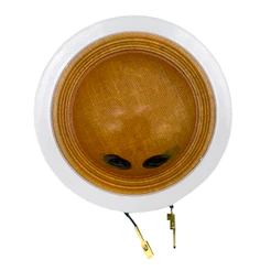 Reparo Compatível JBL Selenium Roadstar Driver D 250 8 Ohms 100w Force One