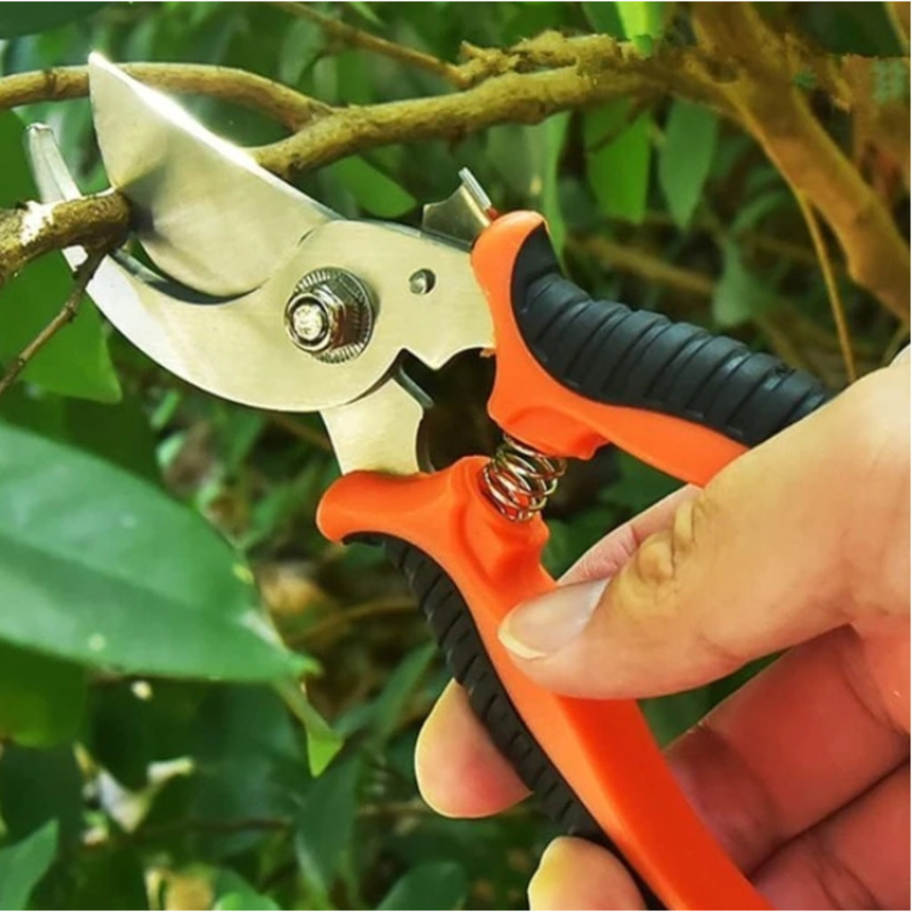 Tesoura de Poda Tesoura Super Afiada para Jardinagem