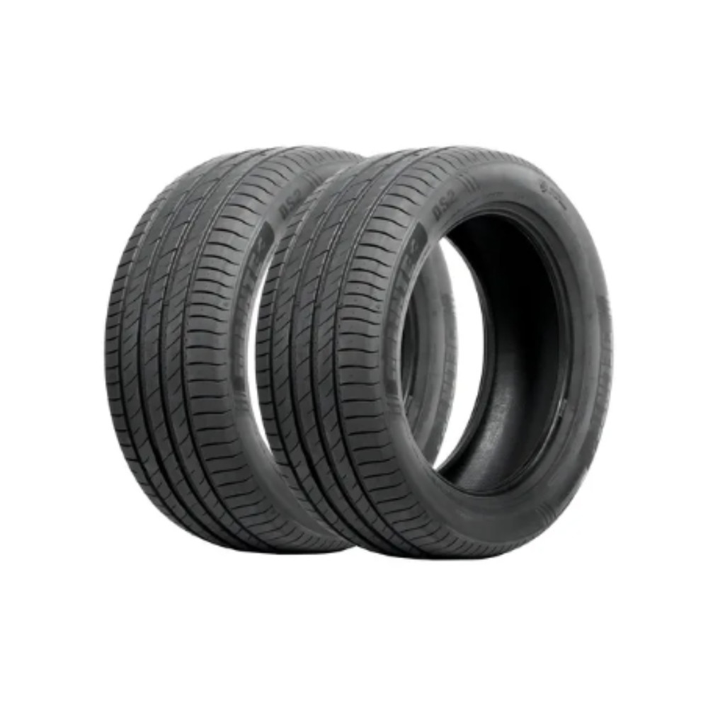 Kit 2 Pneus Delinte Aro 16 195/55 R16 91V XL DS2