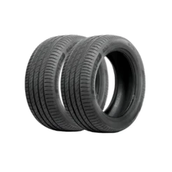 Kit 2 Pneus Delinte Aro 16 195/55 R16 91V XL DS2