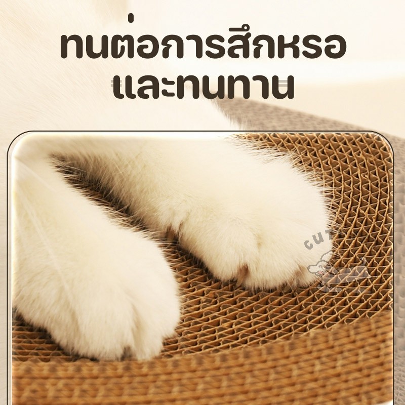 Pawcheer ที่ฝนเล็บแมว ที่ลับเล็บแมว รูปอ่าง ของเล่นแมว เป็นที่นอนแมวไปในตัว กระดาษลับเล็บทรงกลม โซฟาลับเล็บทรงกลม - ภาพที่ 6