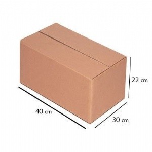 Kit 10 Caixa de Papelão para Transporte 40x30x22 Maleta