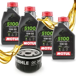 Troca de Óleo R1250 Gs / R1200 Gs Motul 5100 15w50 + Filtro