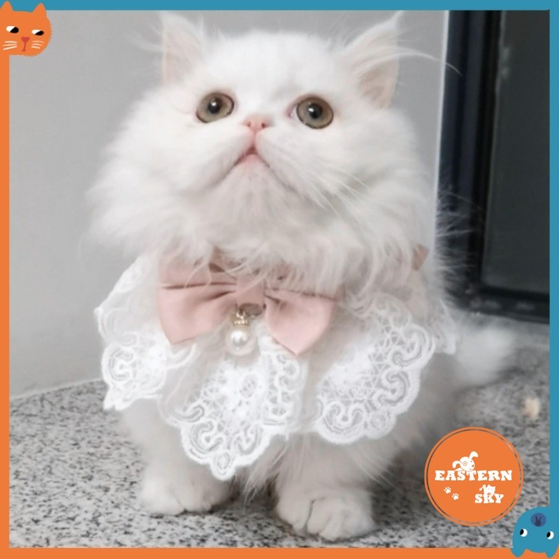 Babá Animal: Guia Completo e Onde Comprar | BuscaProdutos