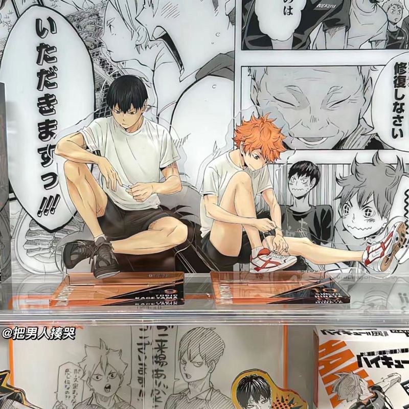 Cosplay Hinata Shoyo: Onde Comprar | BuscaProdutos