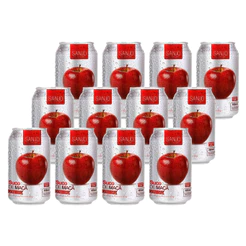 Sanjo - Suco de Maçã Gaseificado - 12x350ml