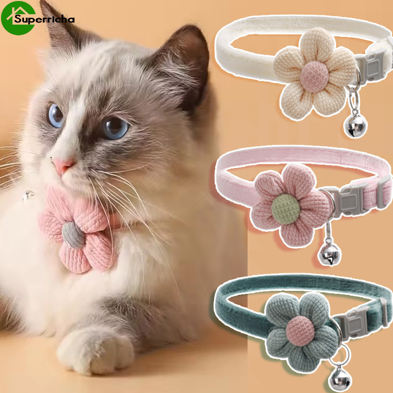 Cachorrinhos com Flores: Onde Comprar | BuscaProdutos