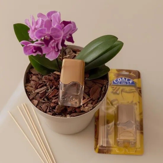Kit 3 Coala Difusor de Aromas e Ambientes Orquídea 100ML - Com Varetas - Perfumado — imagem 2 de 2