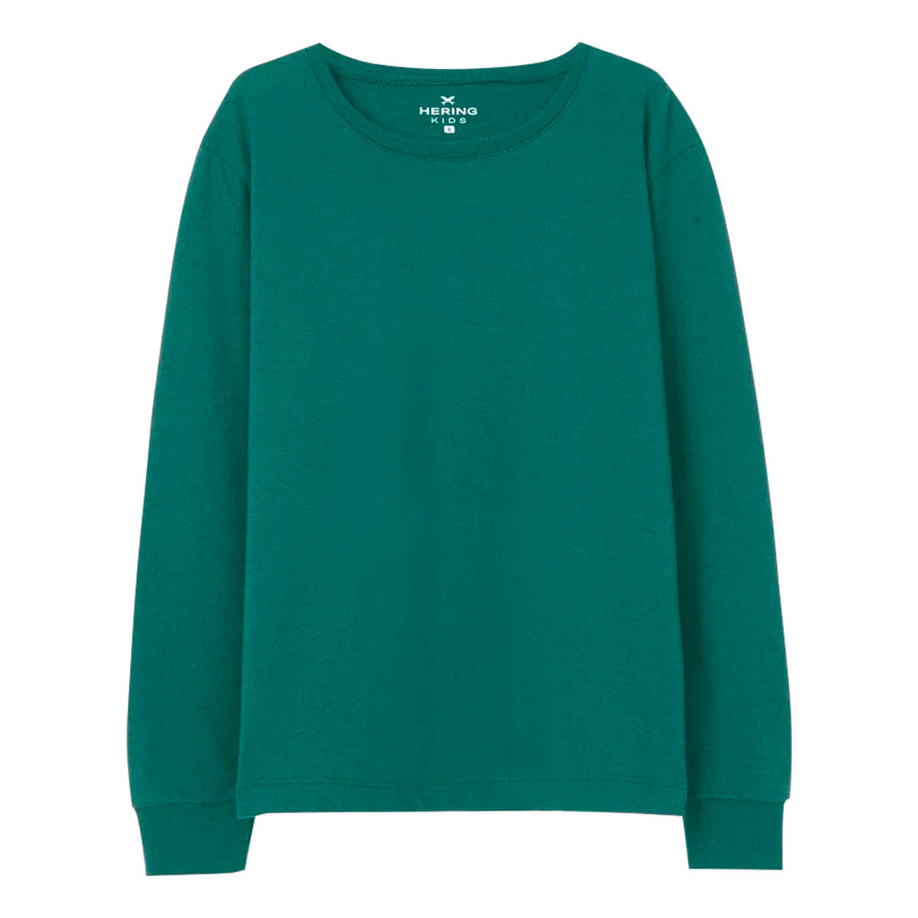 Camiseta Hering Básica Infantil Menino Manga Longa Verde