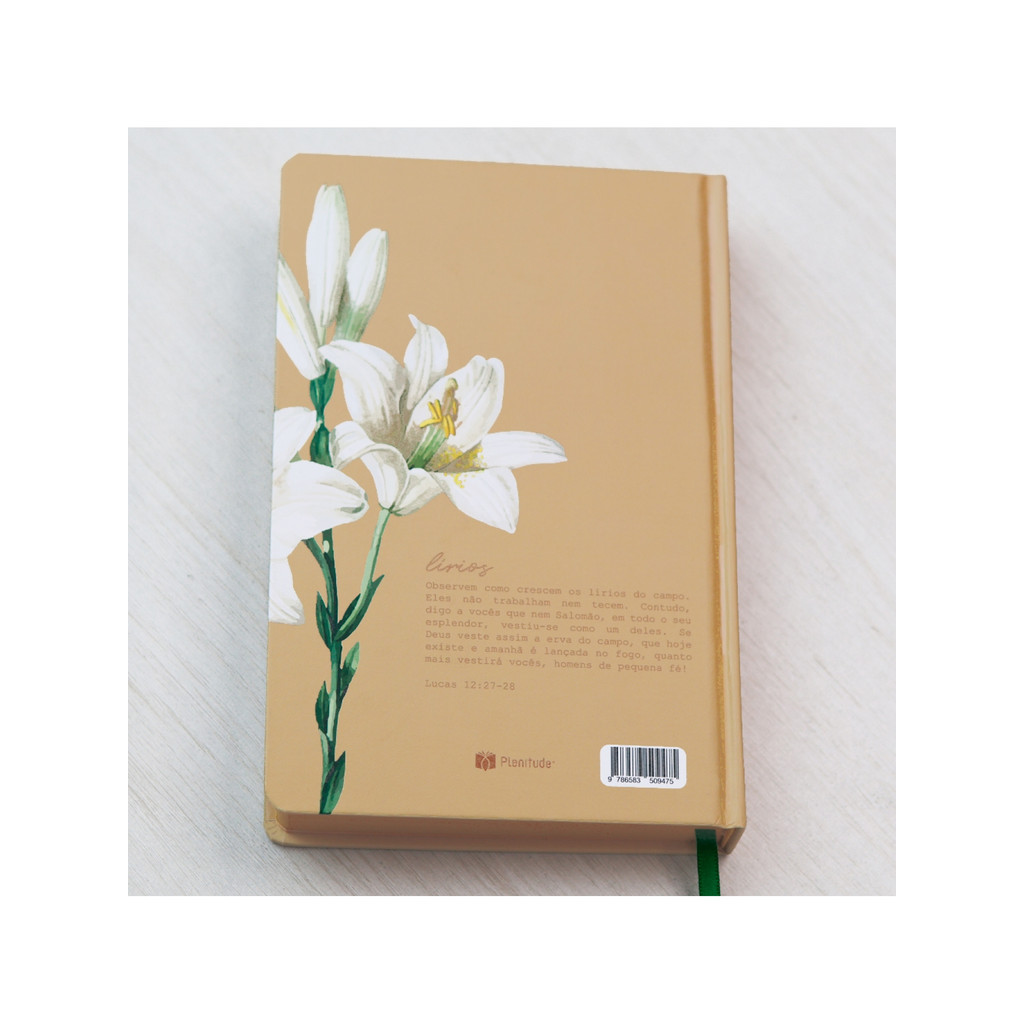 Detalhes do Kit Bíblia Sagrada Lírios Nvi Capa Dura Amarela + Livro O Peregrino - Kit Edificação E Reflexão