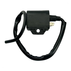 Bobina Ignição Burgman 125 2005 A 2010 Carburada
