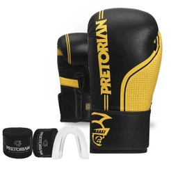 Kit Luva De Boxe/muay Thai Pretorian First Fx1