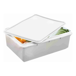 Bandeja Retangular Caixa Plástica C/ Tampa Açougue 11 Litros em Oferta na Shopee