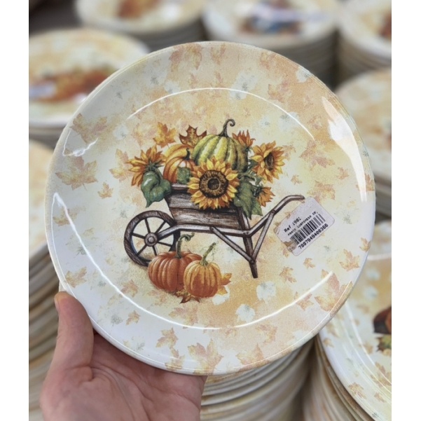 Pratos de Thanksgiving: Onde Comprar | BuscaProdutos