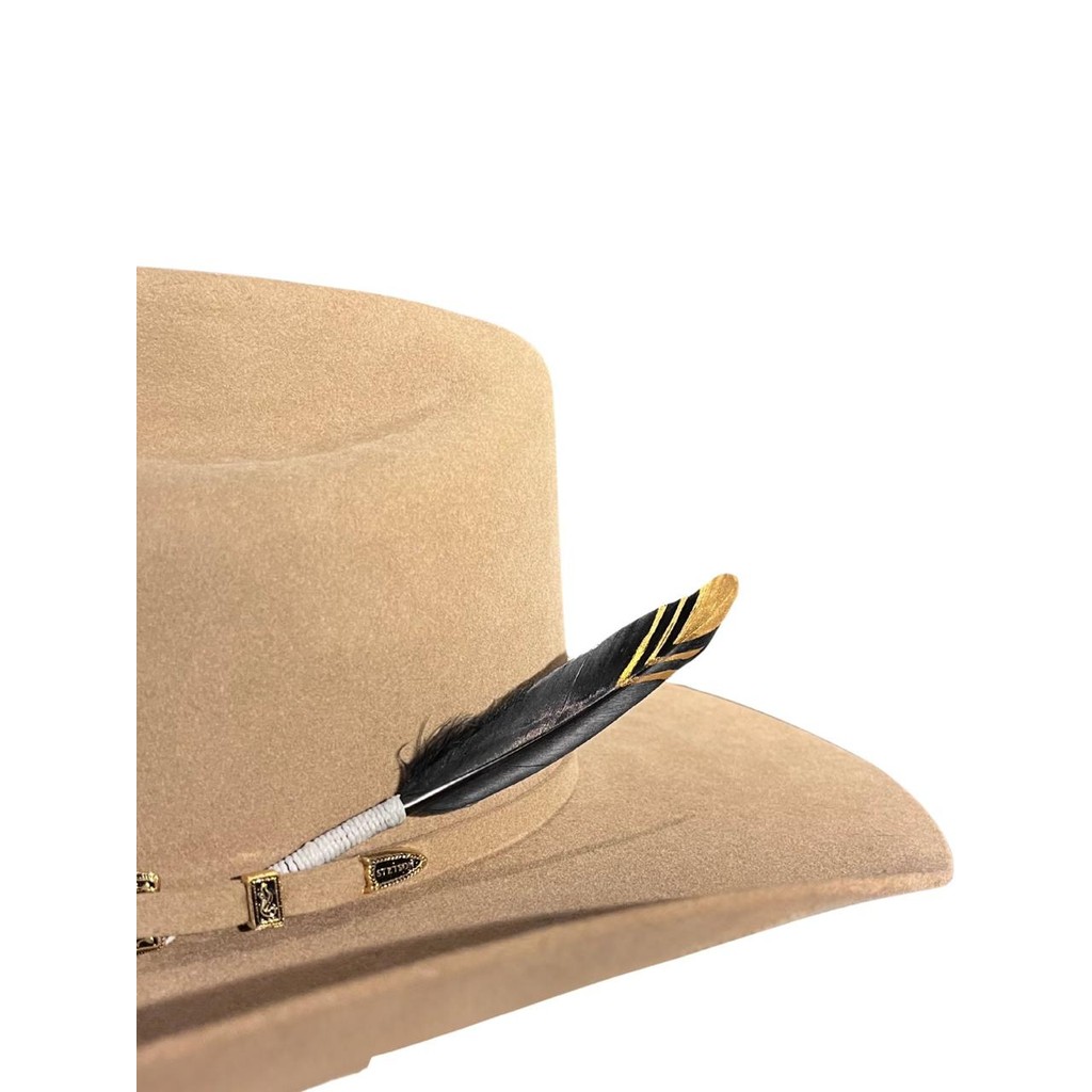 Pena para Chapéu country Preta Média Premium Ponteira