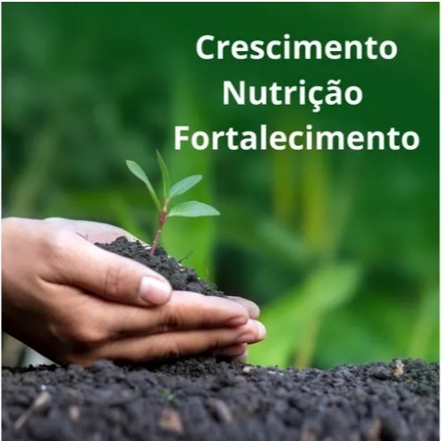 Substrato Para Folhagens e Flores 5kg - 2RM