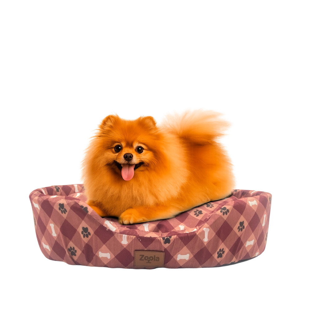 Caminha Redonda Pet Cama Para Cães E Gatos Macia E Lavável Melhor Preço - Tamanho 1