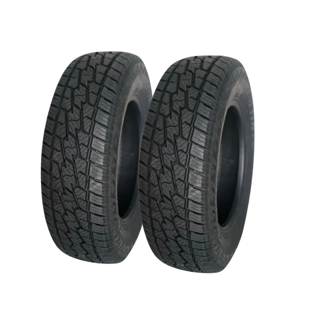 Kit 2 Pneus Delinte Aro 18 225/60 R18 104V DX-10 A/T BANDIT