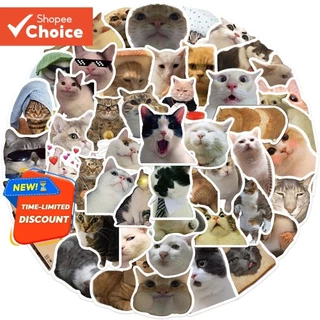 50 Peças Adesivos Engraçados De Meme De Gato Para Laptop Skates Capa De Telefone Decalque Reforjado 
