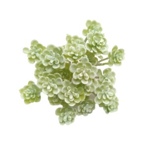 G Suculenta Verde Planta Artificial Para Decoração em Oferta na Shopee