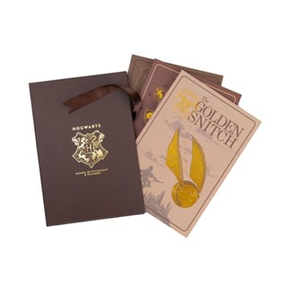 Kit com 3 cadernos hp hogwarts - Imaginarium em Oferta na Shopee