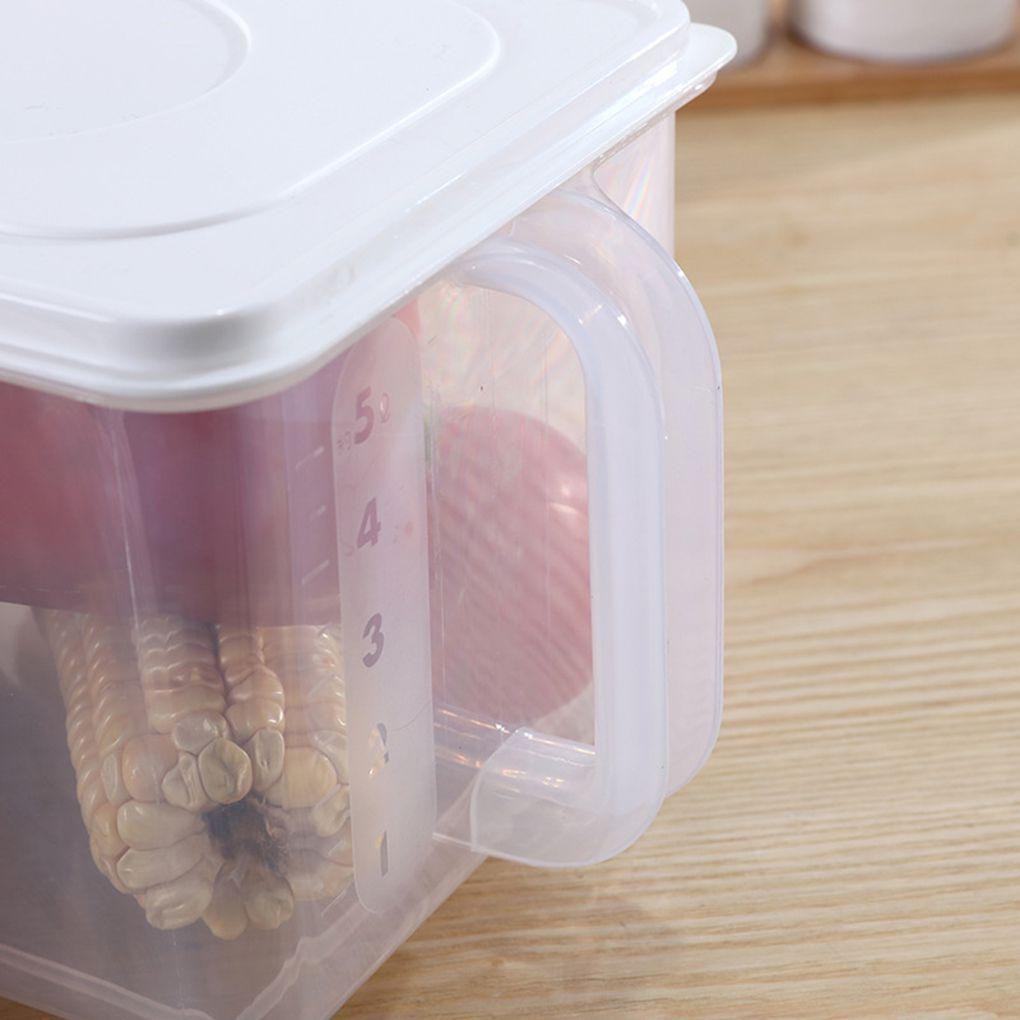 6.2L Plástico Geladeira Caixa De Armazenamento Alimentos Casa Recipiente Organizador Frutas Fresco Mantendo Cozinha